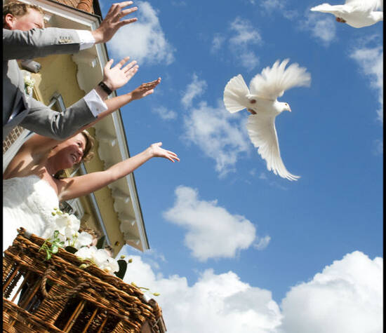 Witte Vleugels van Vreugde en Verdriet- Copyright ©  