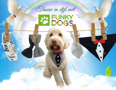 Funky Dogs - Trouwcollectie voor honden